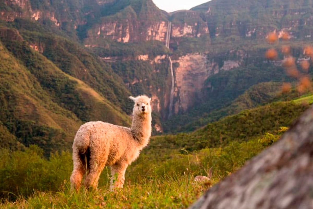 Tarapoto y Chachapoyas 6D 5N