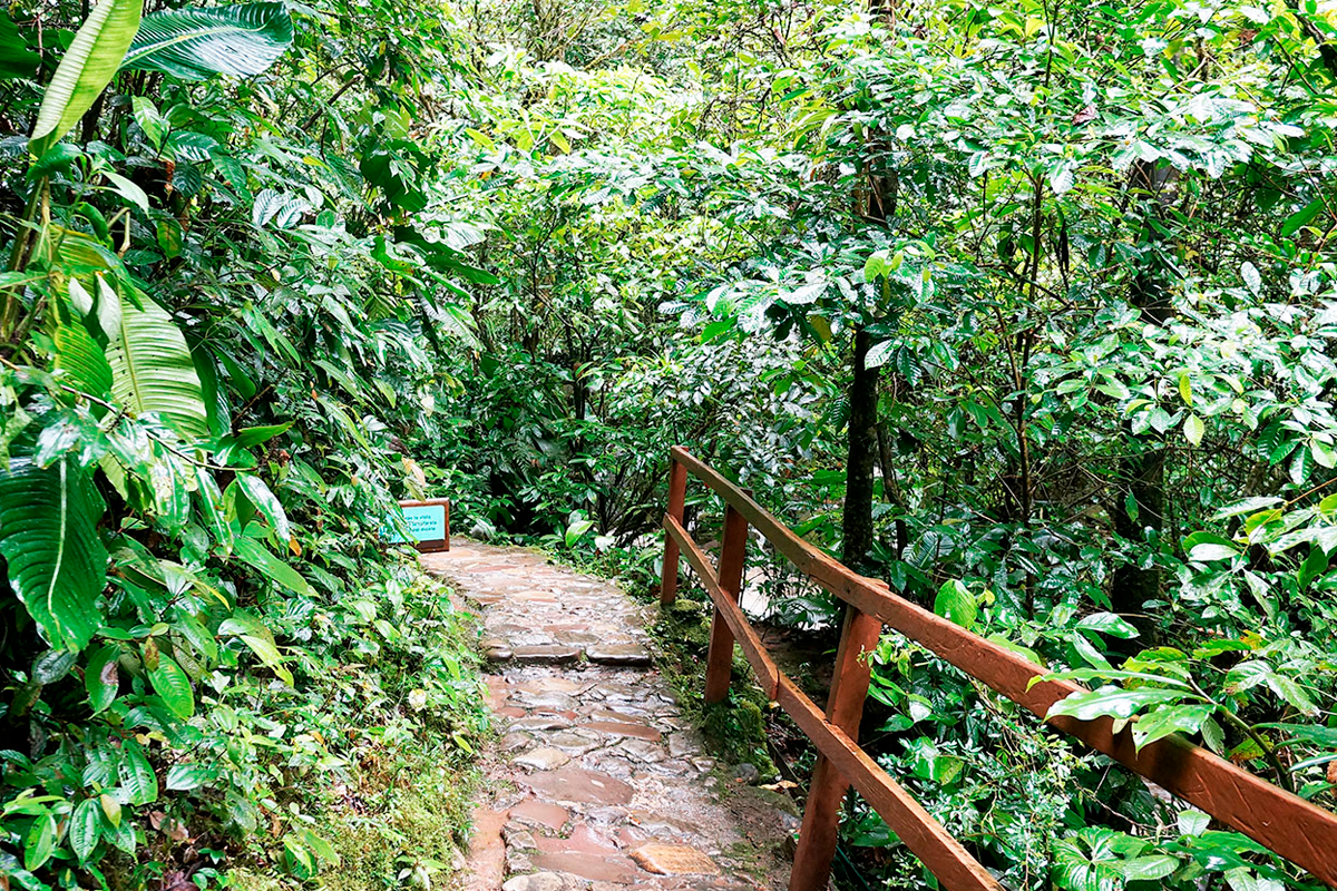 Tarapoto 3D 2N