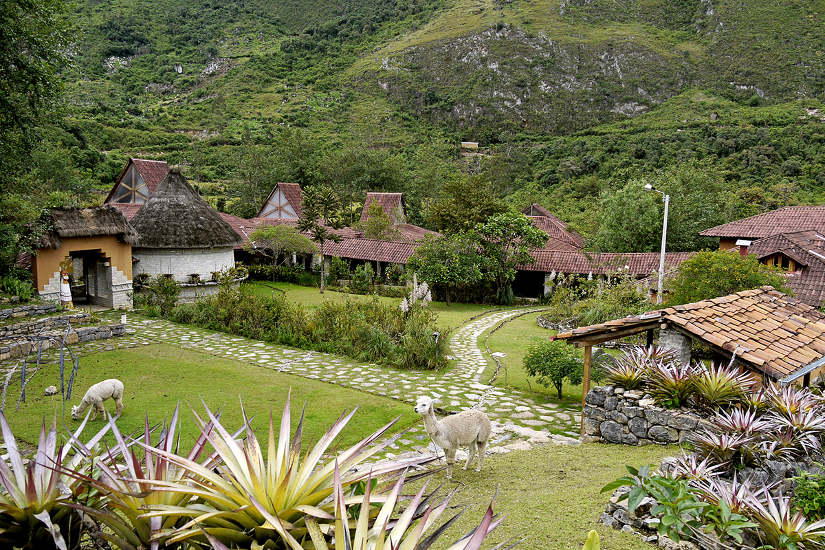 Museo de Momias 4D 3N